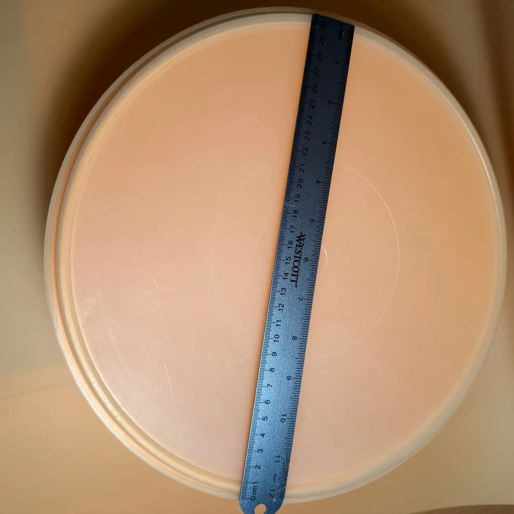 Tupperware vintage large